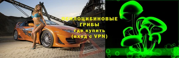меф Арсеньев