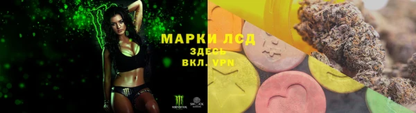 дурь Аркадак