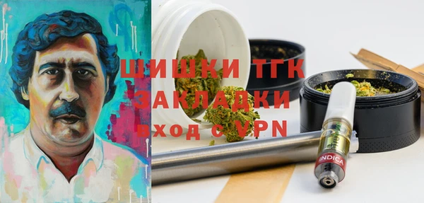 меф Арсеньев