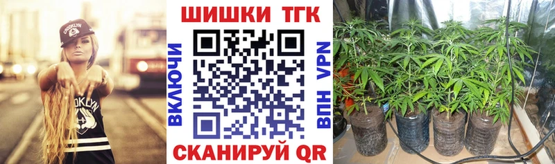 Купить где Вичуга Конопля семена